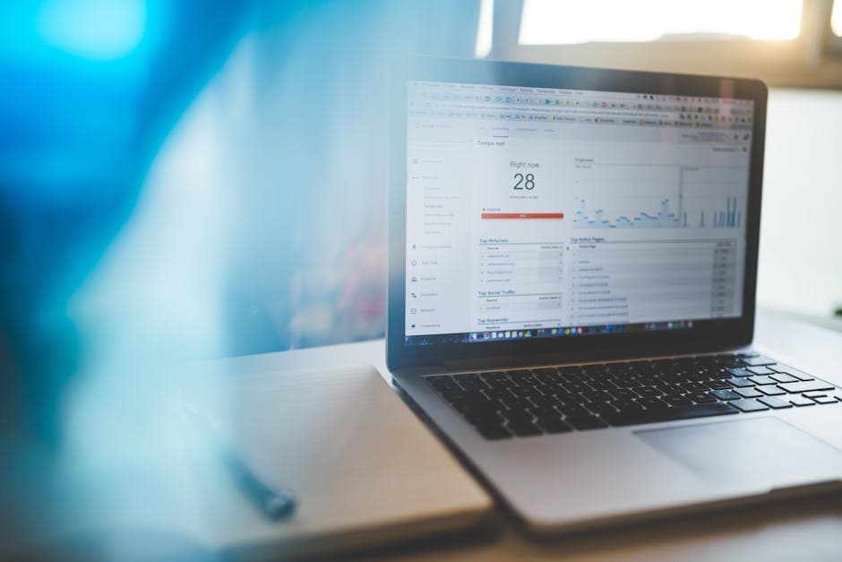 Reports & Analytics